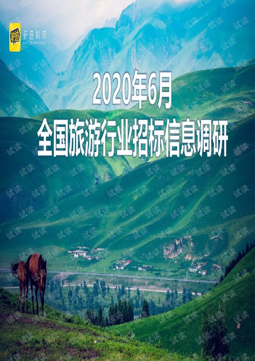 2020年6月全国旅游行业招标信息调研.pdf